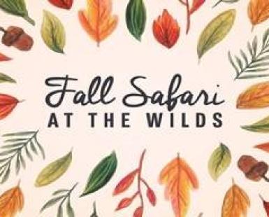 Fall Safari at the Wilds text with fall leaves