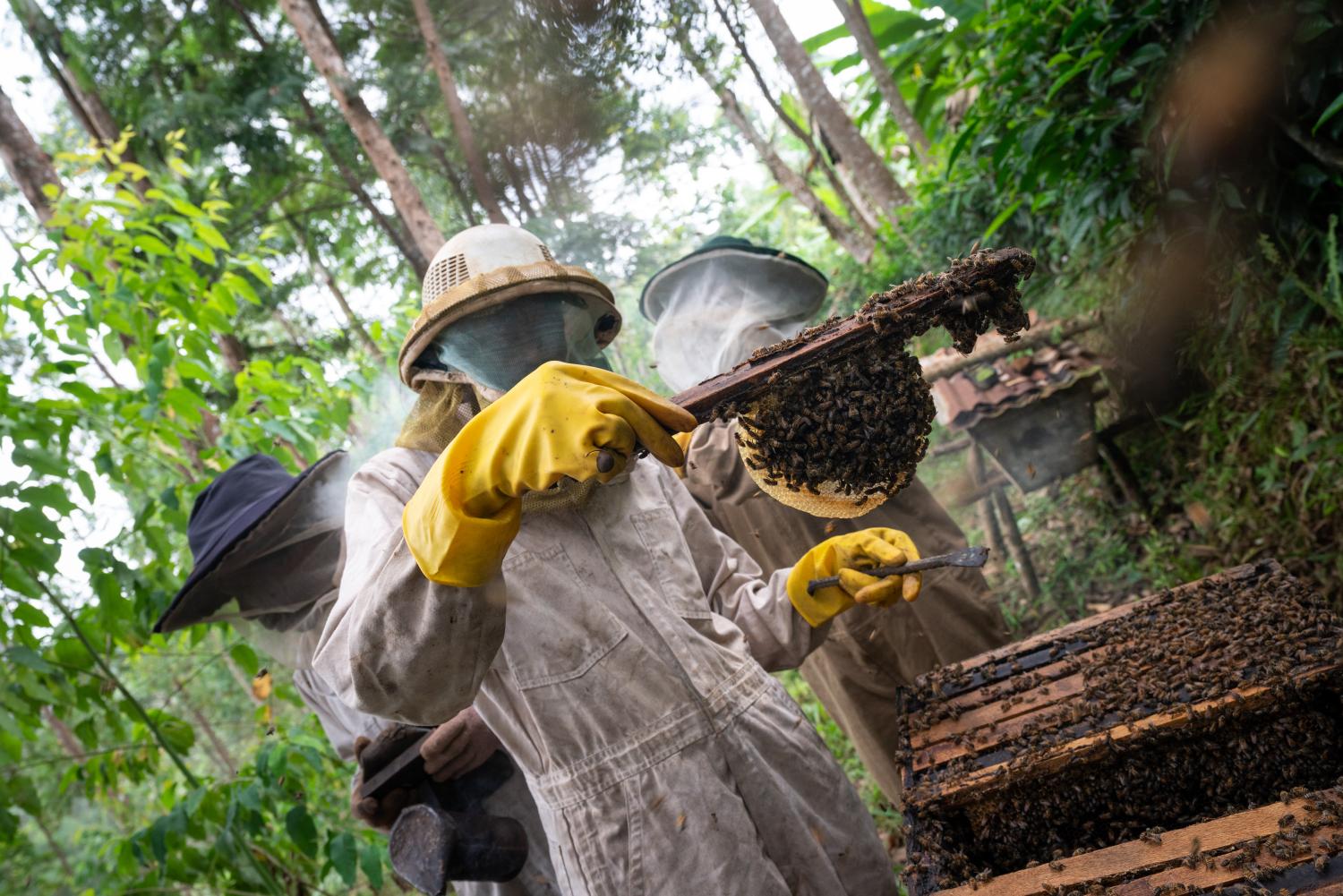 Rwandan Beekeepers