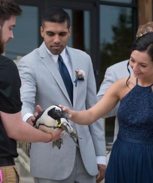bridal party with penguin