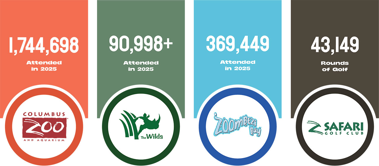 Attendance Numbers