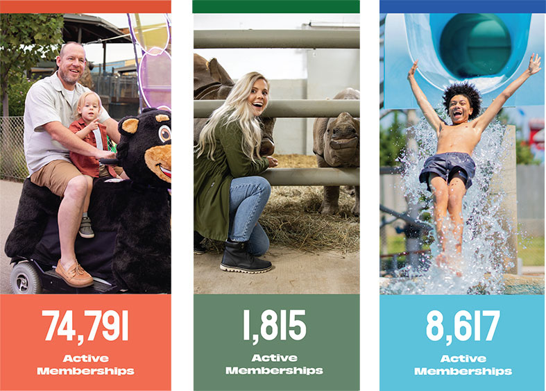 Active Memberships Numbers