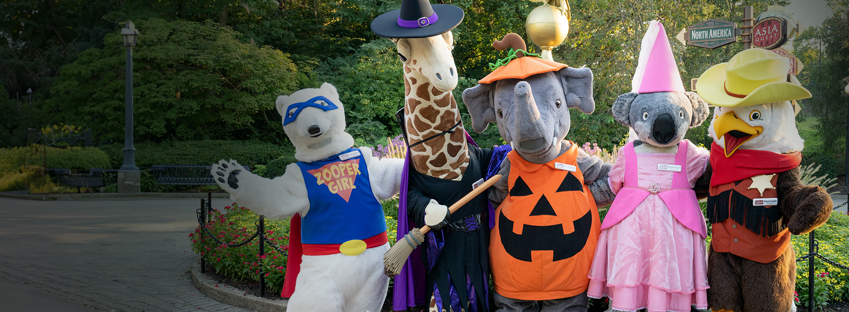 zoo characters in halloween costumes