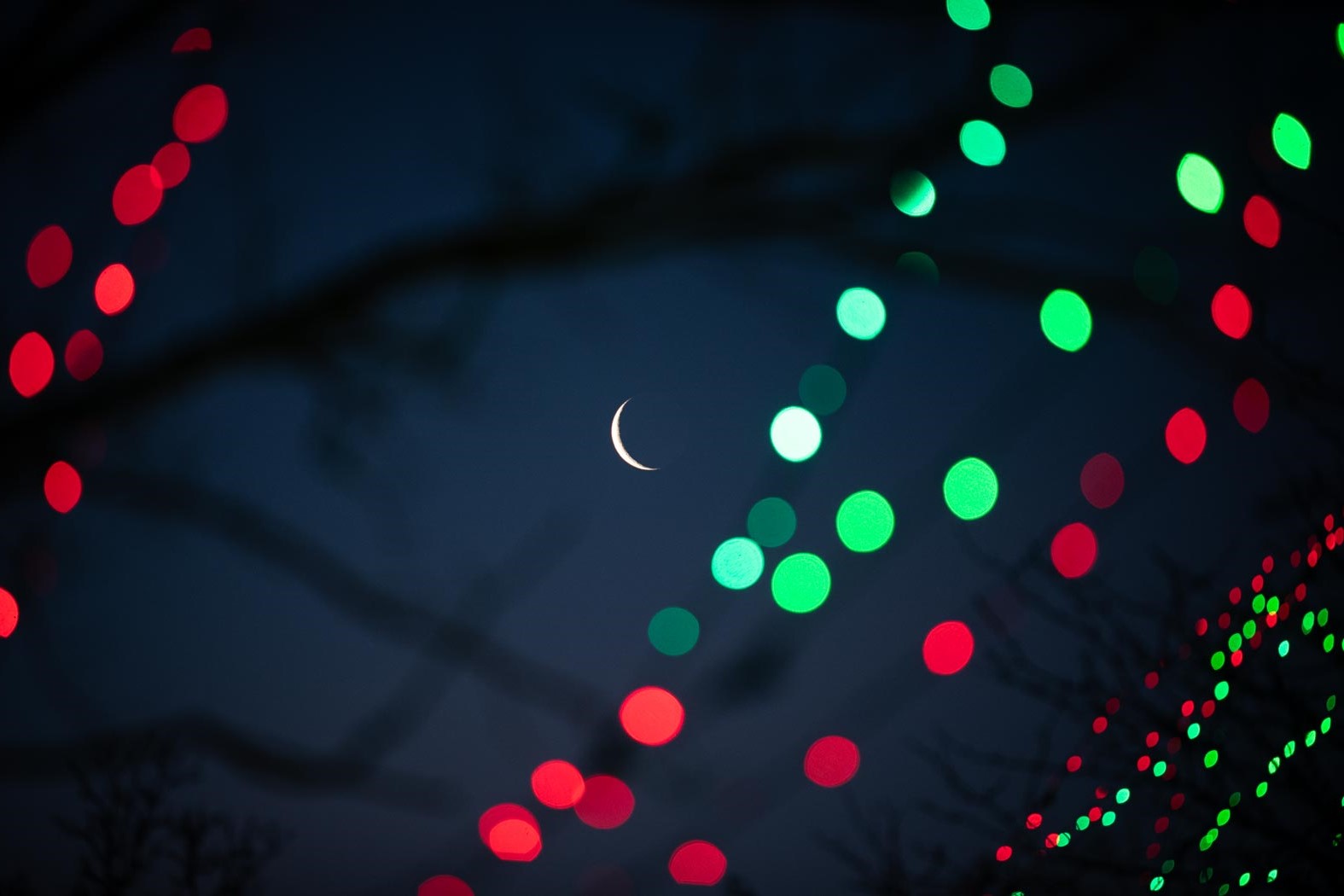 holiday lights with moon