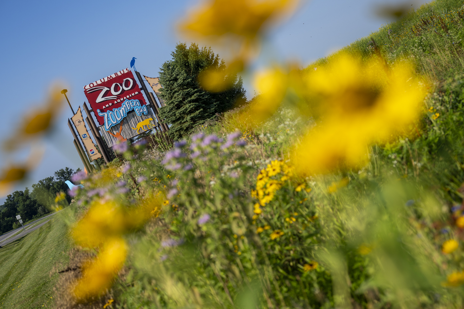 sustainable pollinator garden at the Columbus Zoo