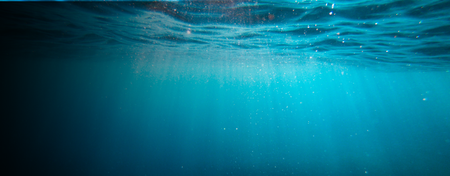 header graphic