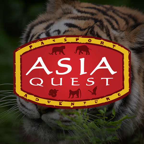 Asia Quest