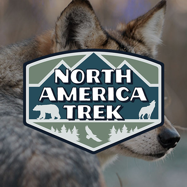 North America