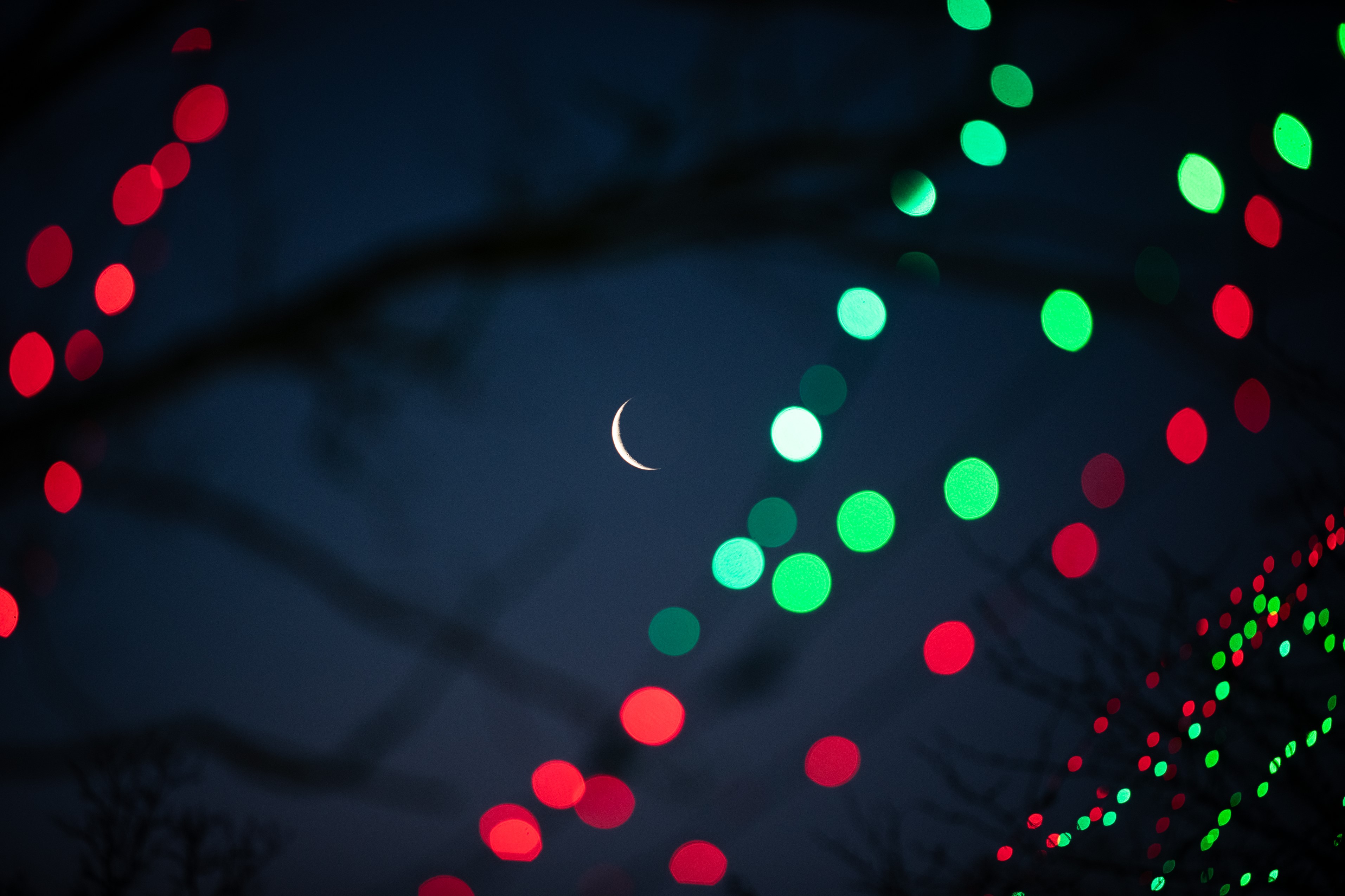 holiday lights and moon