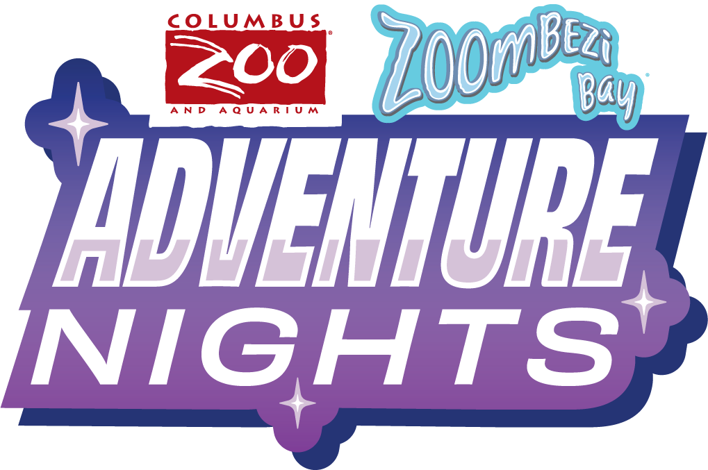 Adventure Nights logo