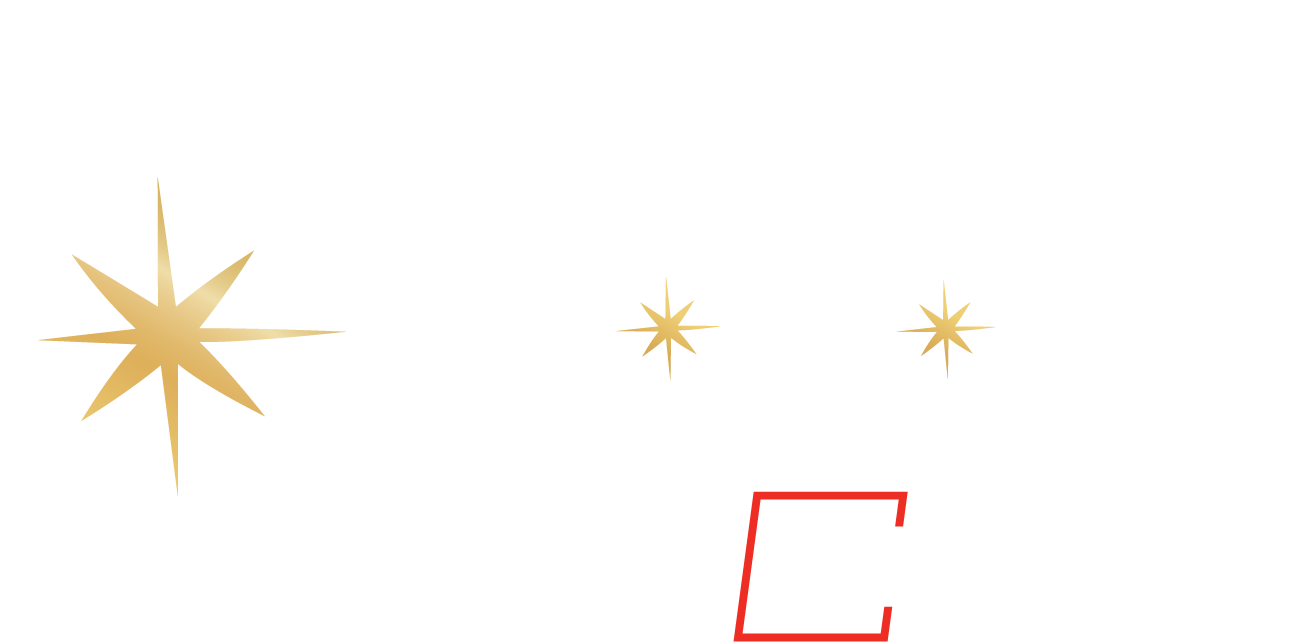 Wildlights lockup logo