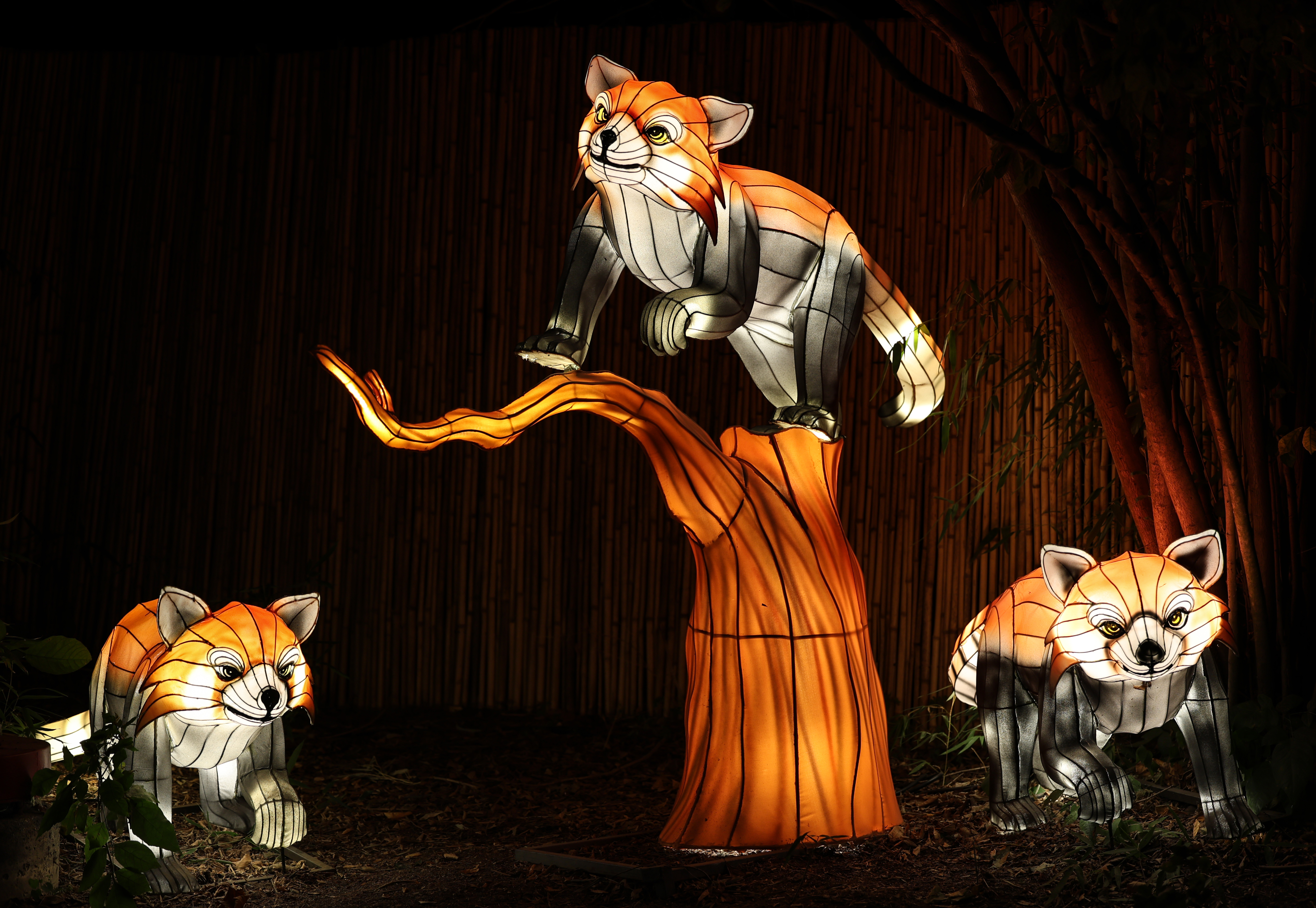 red panda lanterns