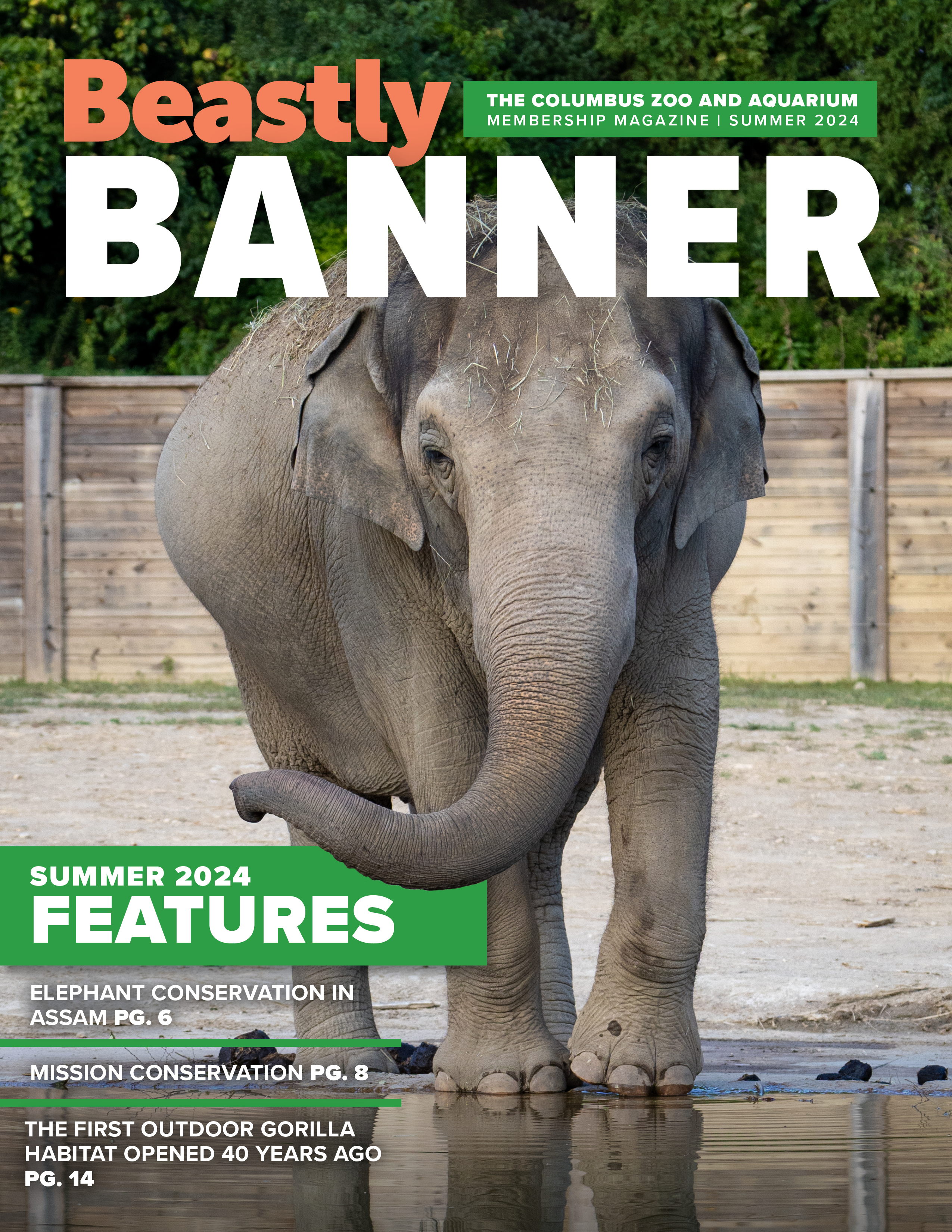 graphic for Beastly Banner magazine