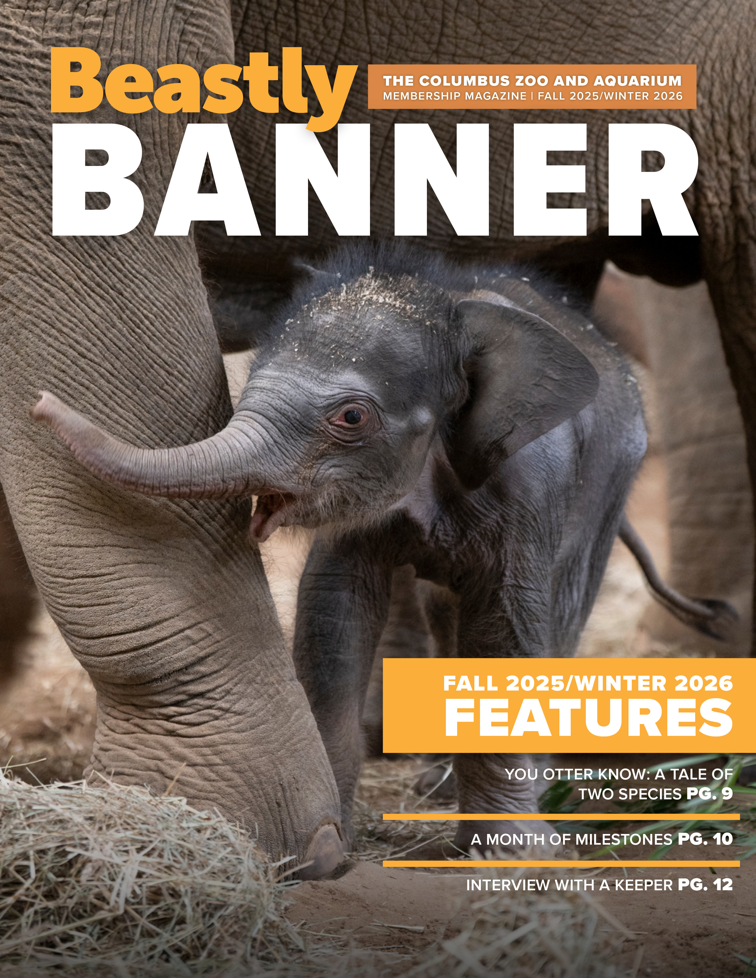 Fall/Winter 2025 Beastly Banner Cover