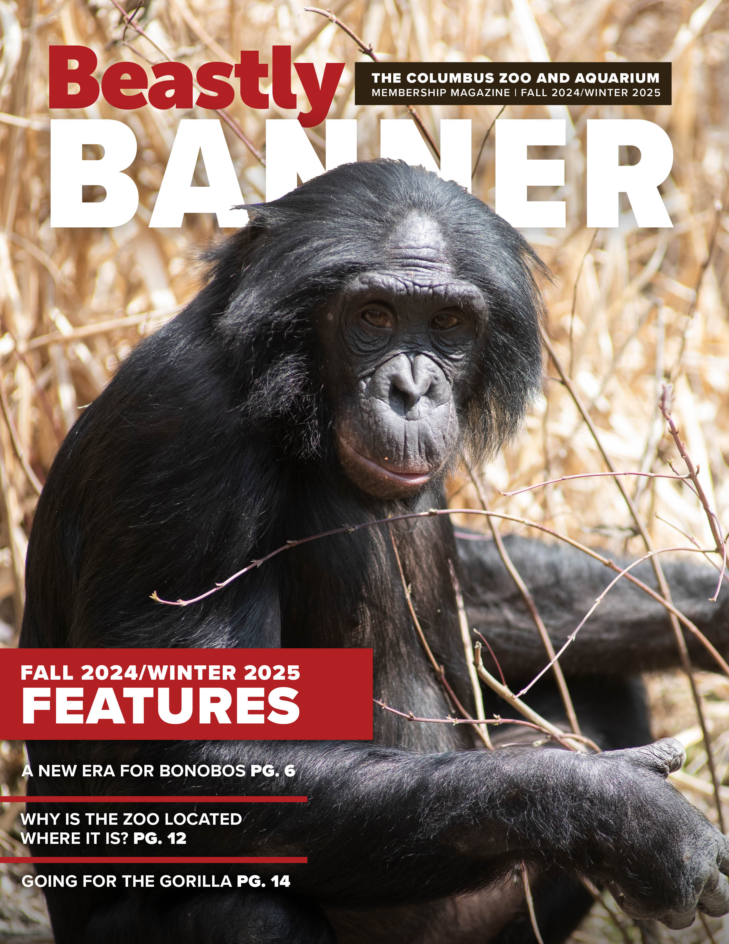 banner front page