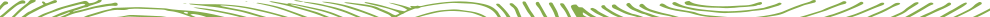 green divider