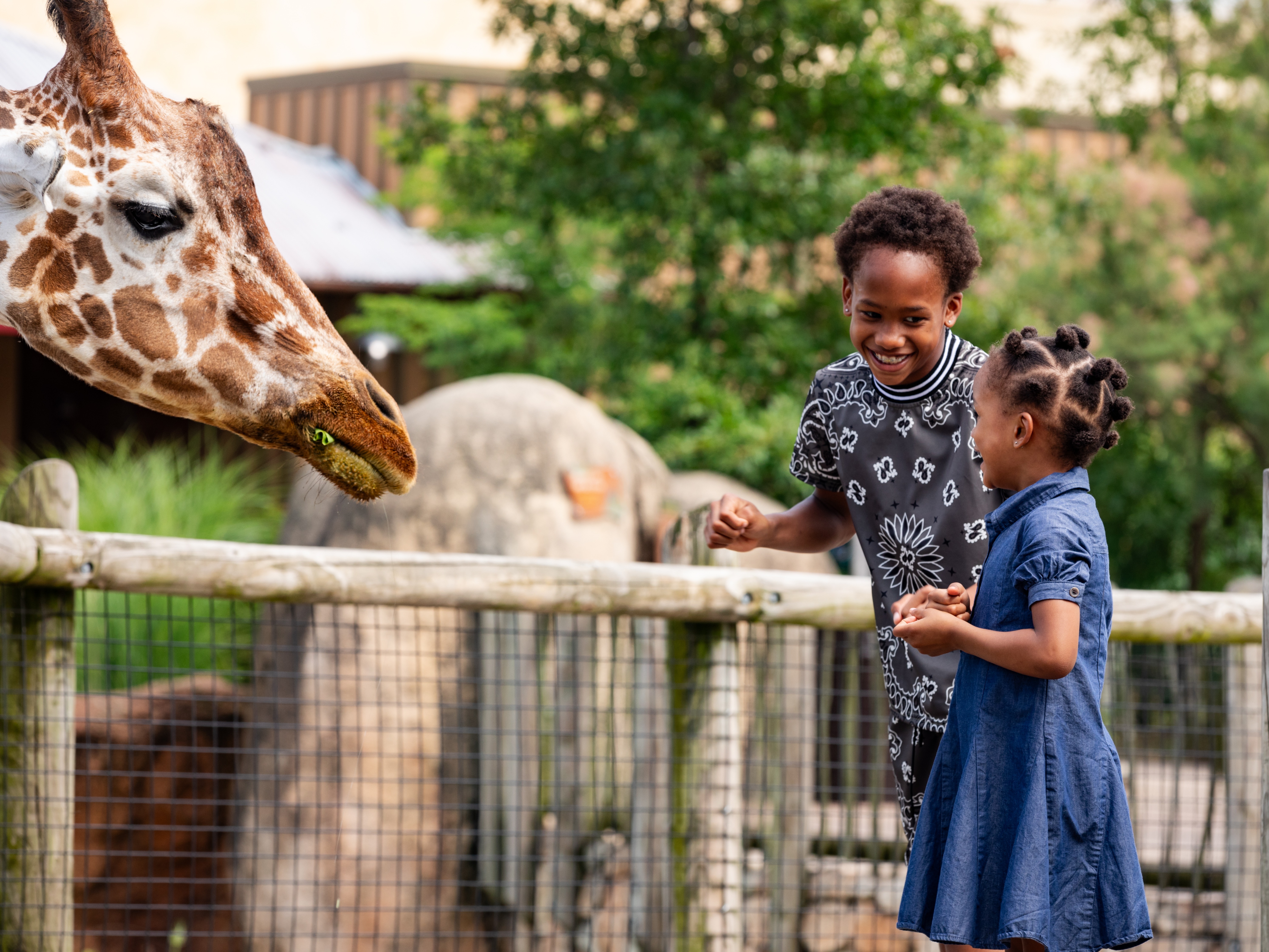 children smiling near giraffe