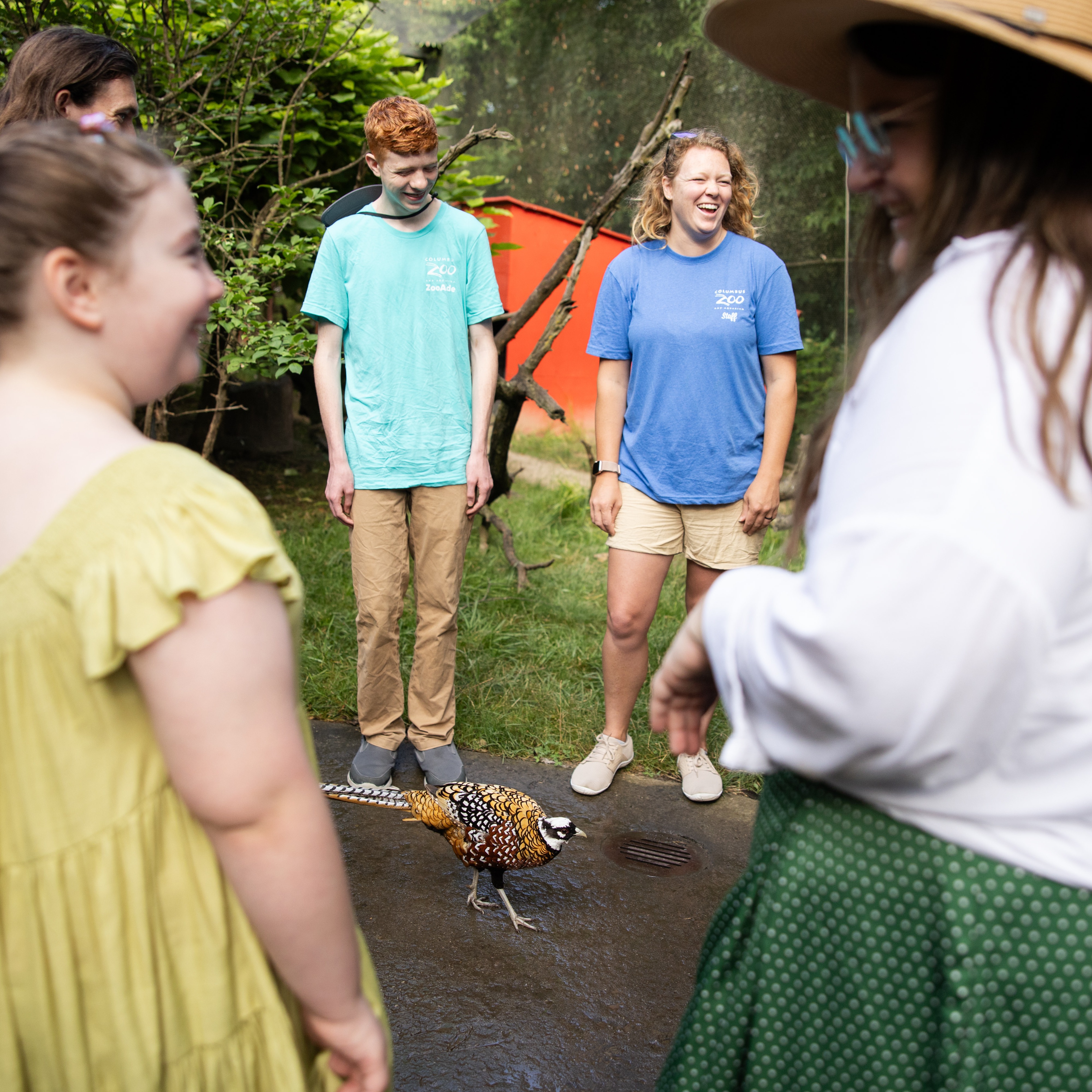 Zoo guests and staff laughing