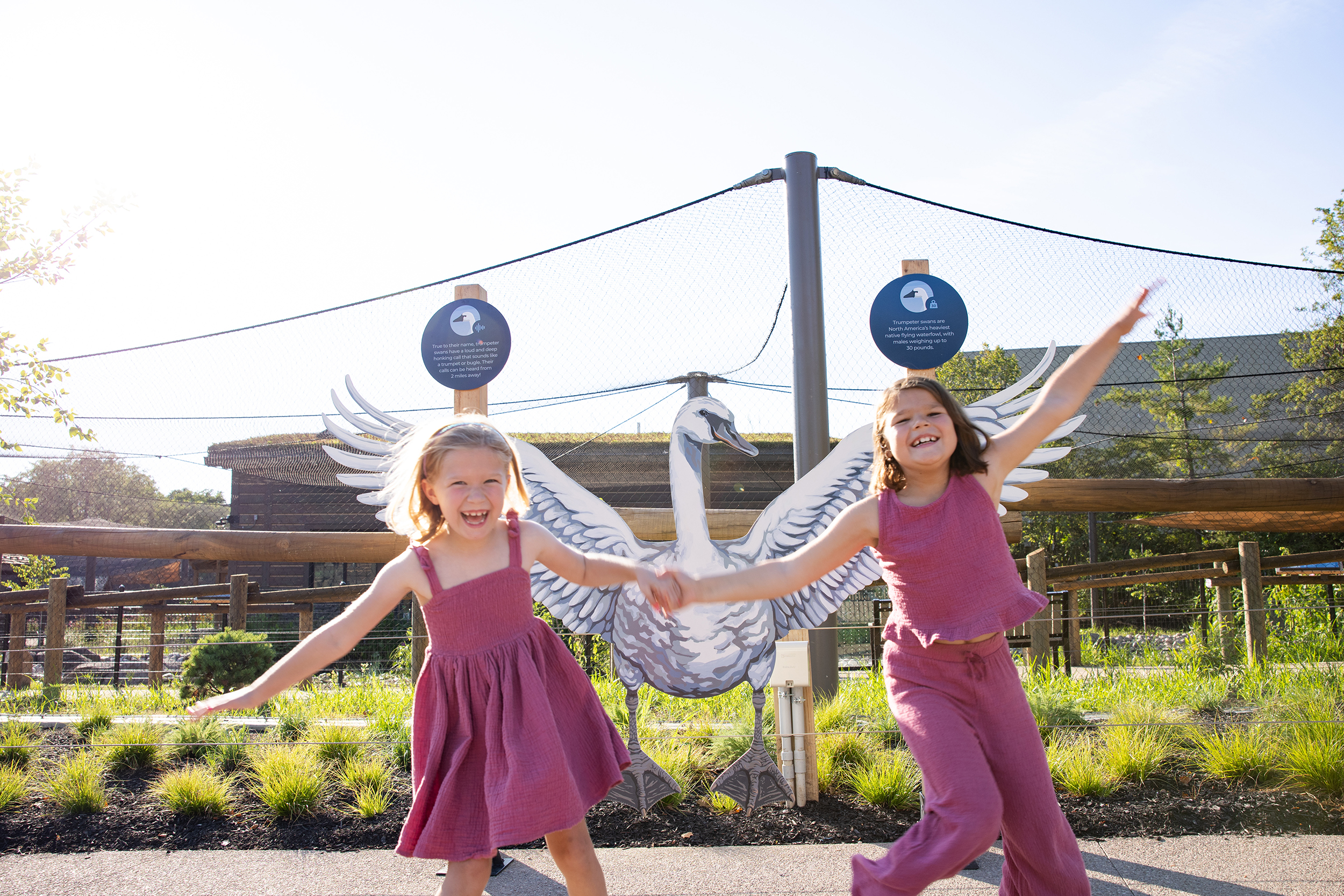 Kids with swan wingspan at Columbus Zoo