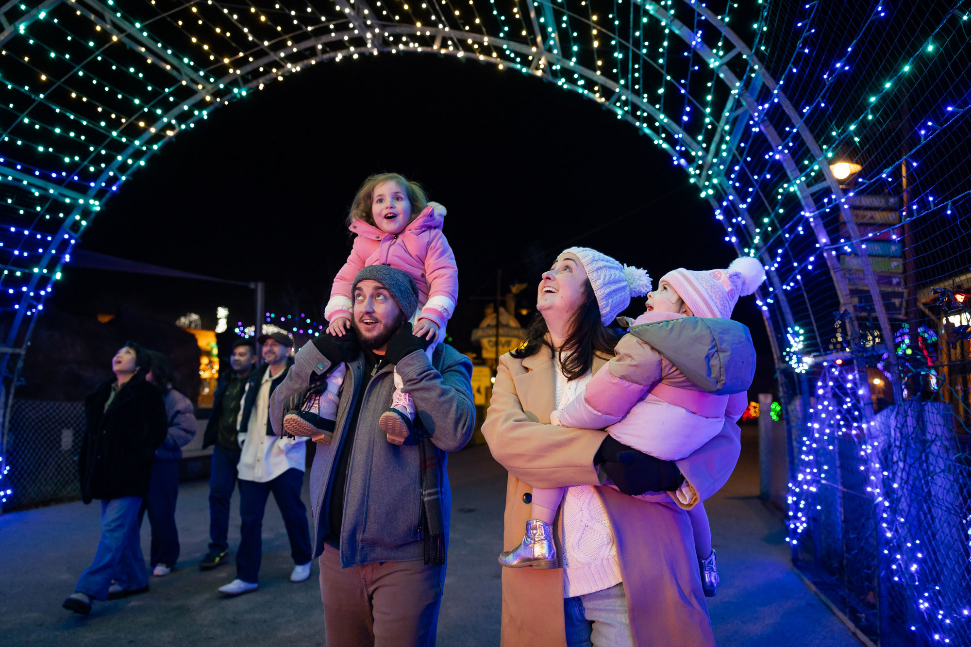 Light tunnel at Wildlights