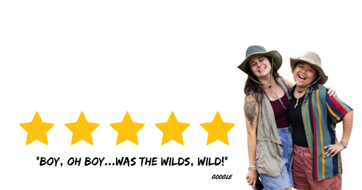 5 star graphic