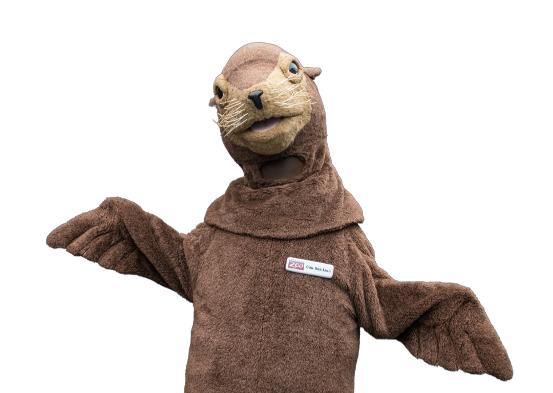 sea lion mascot at columbus zoo