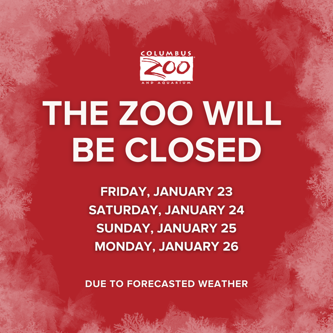 Zoo closure graphic