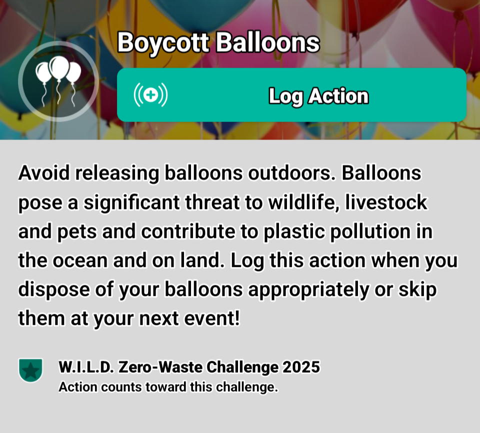 screenshot of action