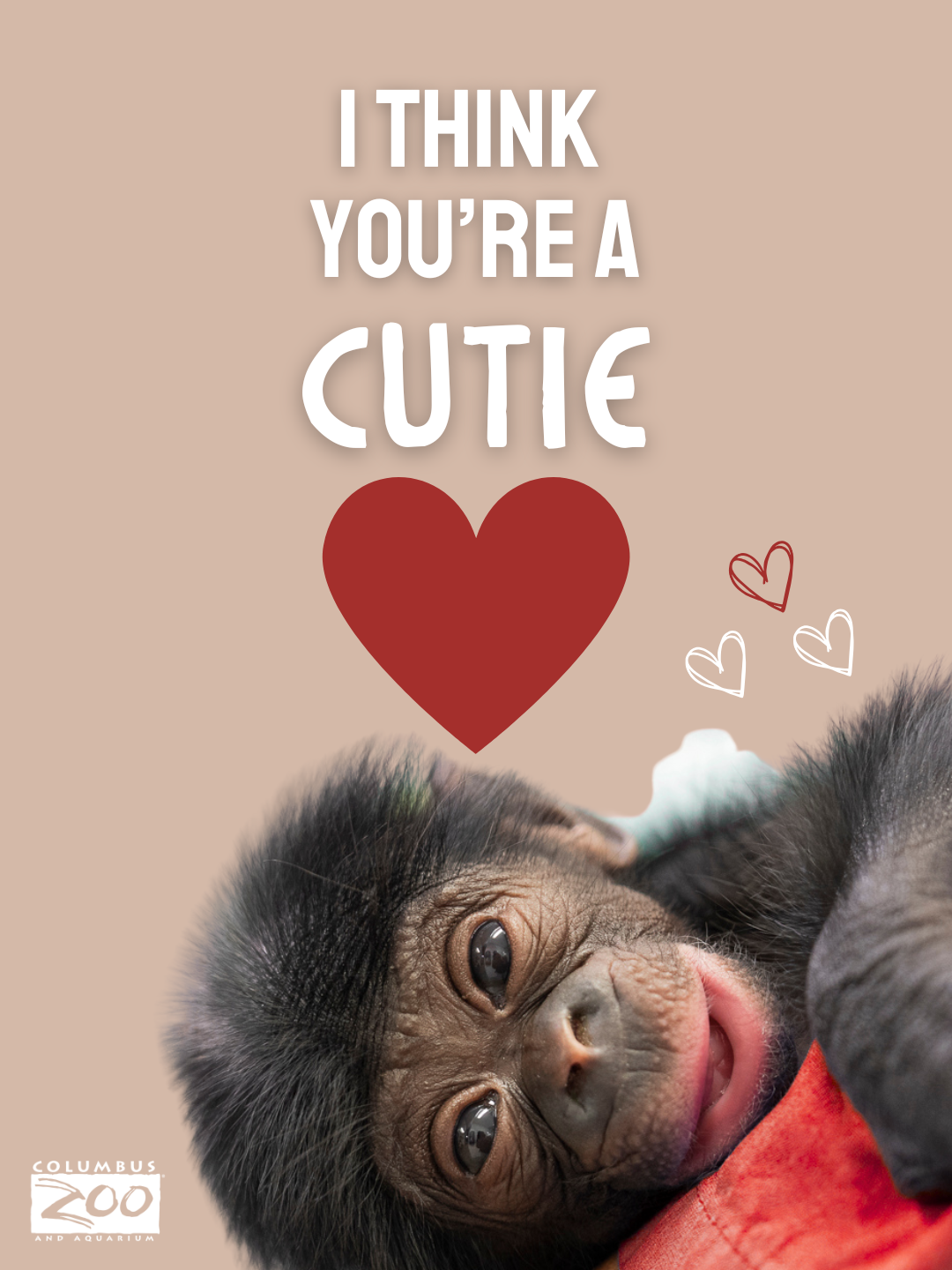 Valentine's Day card