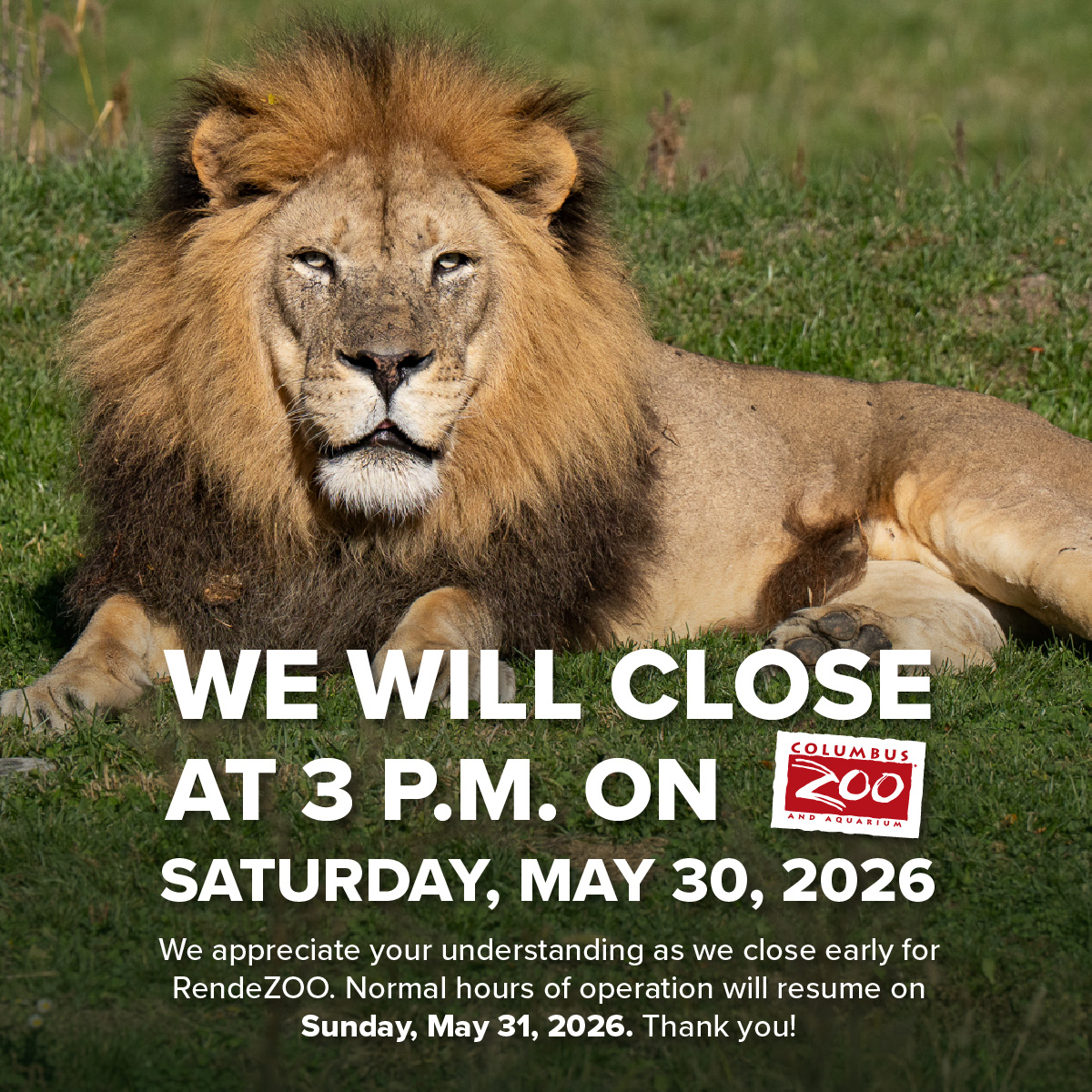 early closure graphic