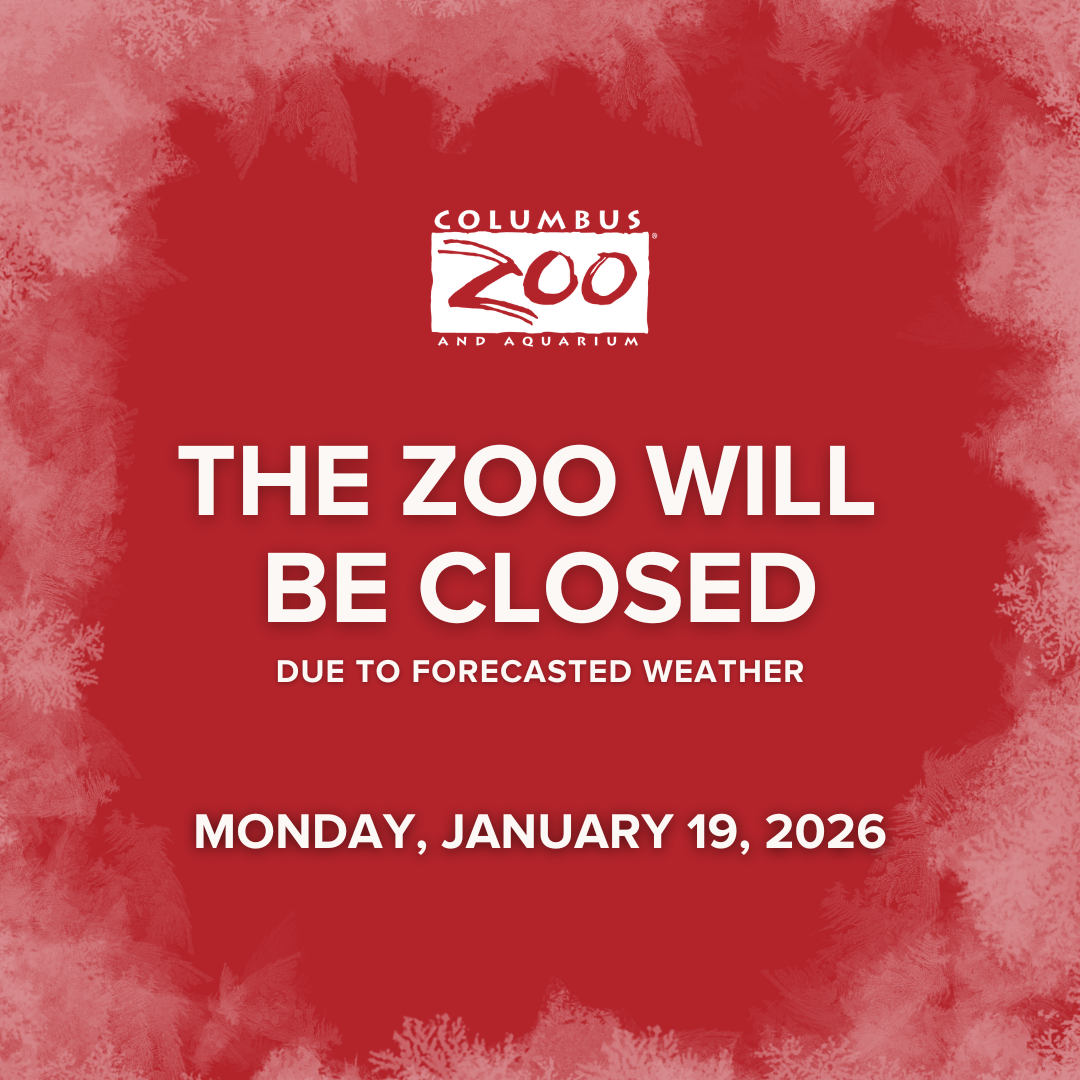 zoo closure graphic