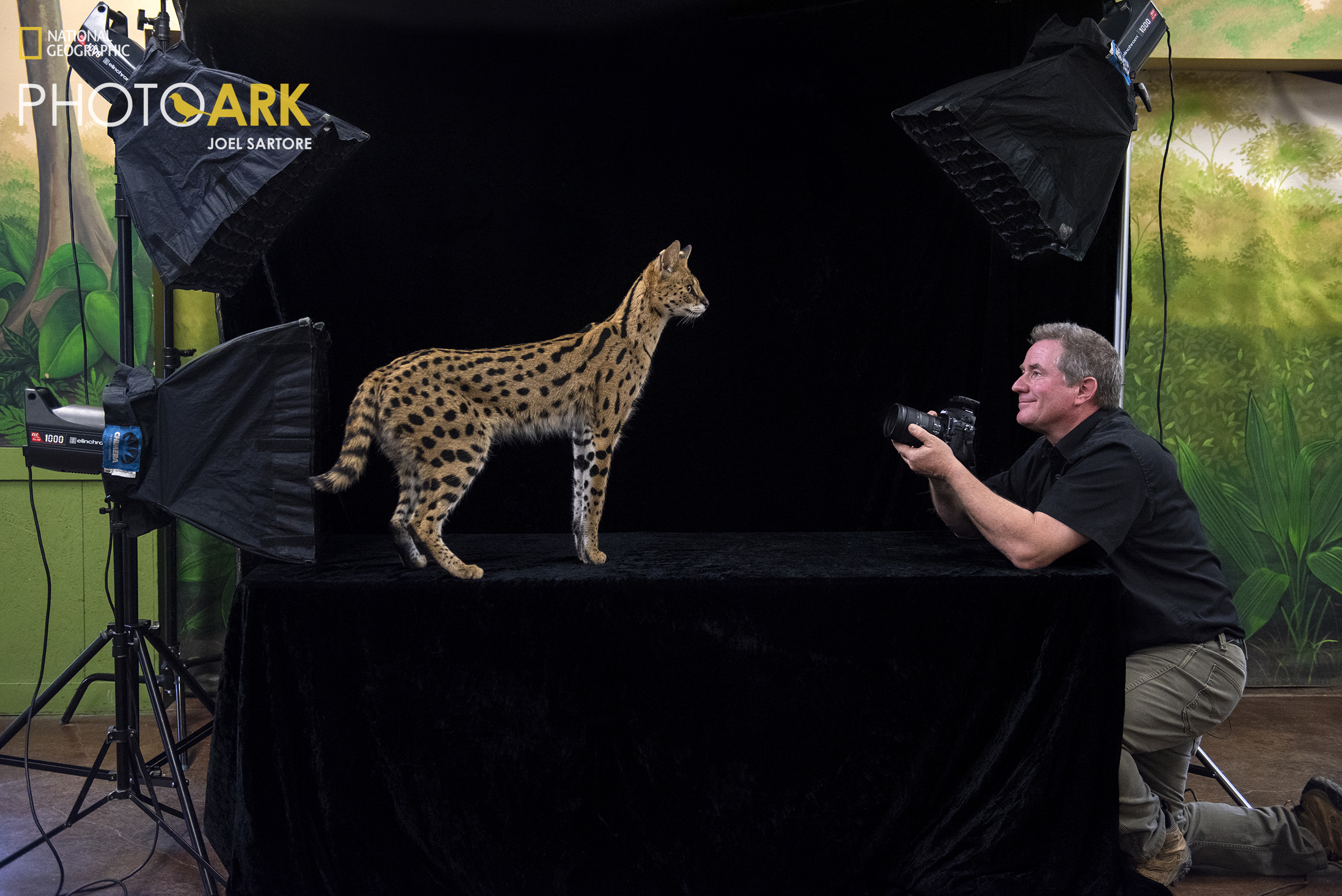 image of Joel Sartore and cat
