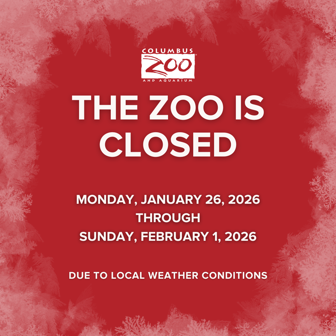 zoo closure graphic