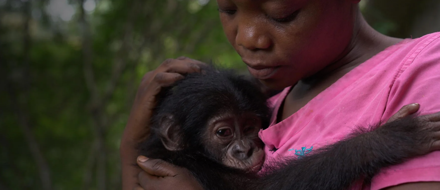 Woman holding bonobo