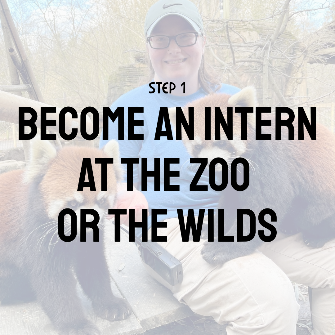 Become an Intern at the Zoo