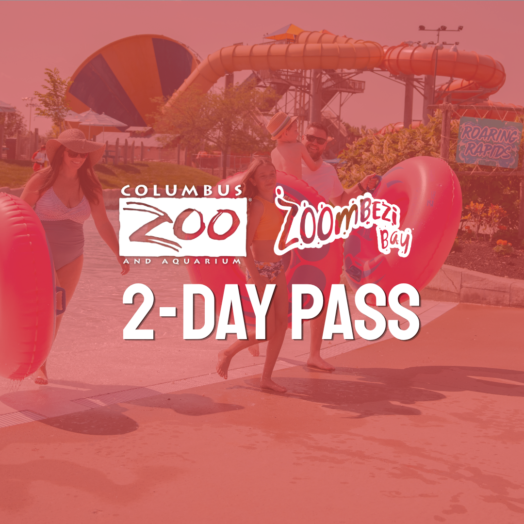 Zoo and Waterpark graphic