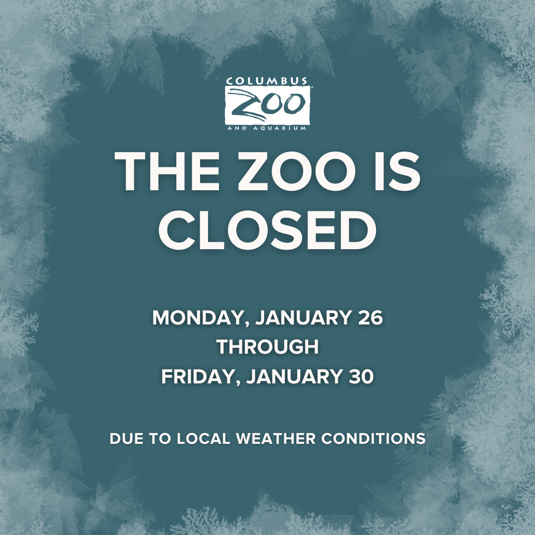 zoo closed graphic