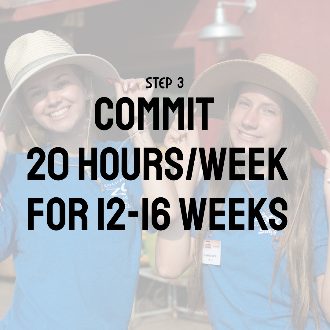 Commit 20 hours a week for 12-16 weeks