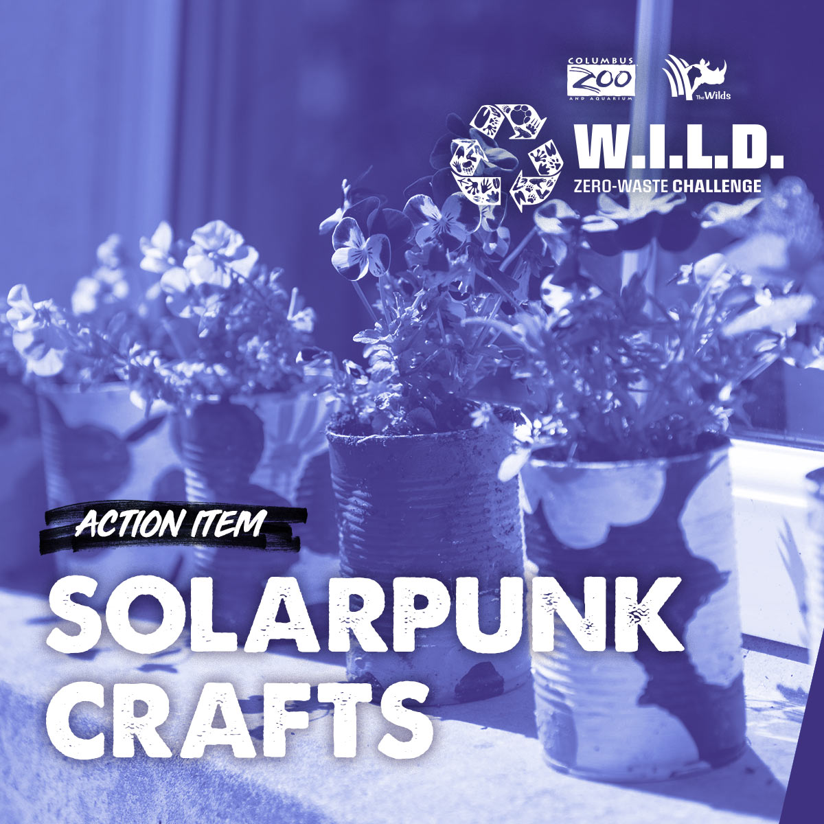 solarpunk graphic