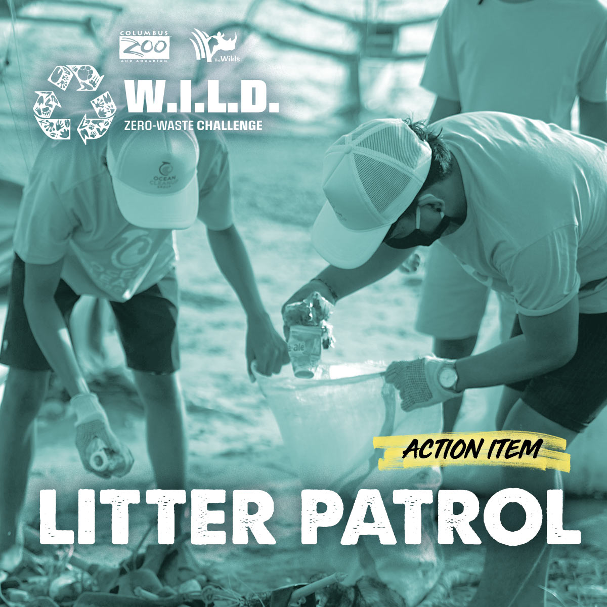 litter graphic