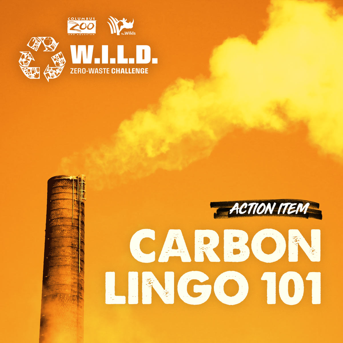 carbon lingo challenge