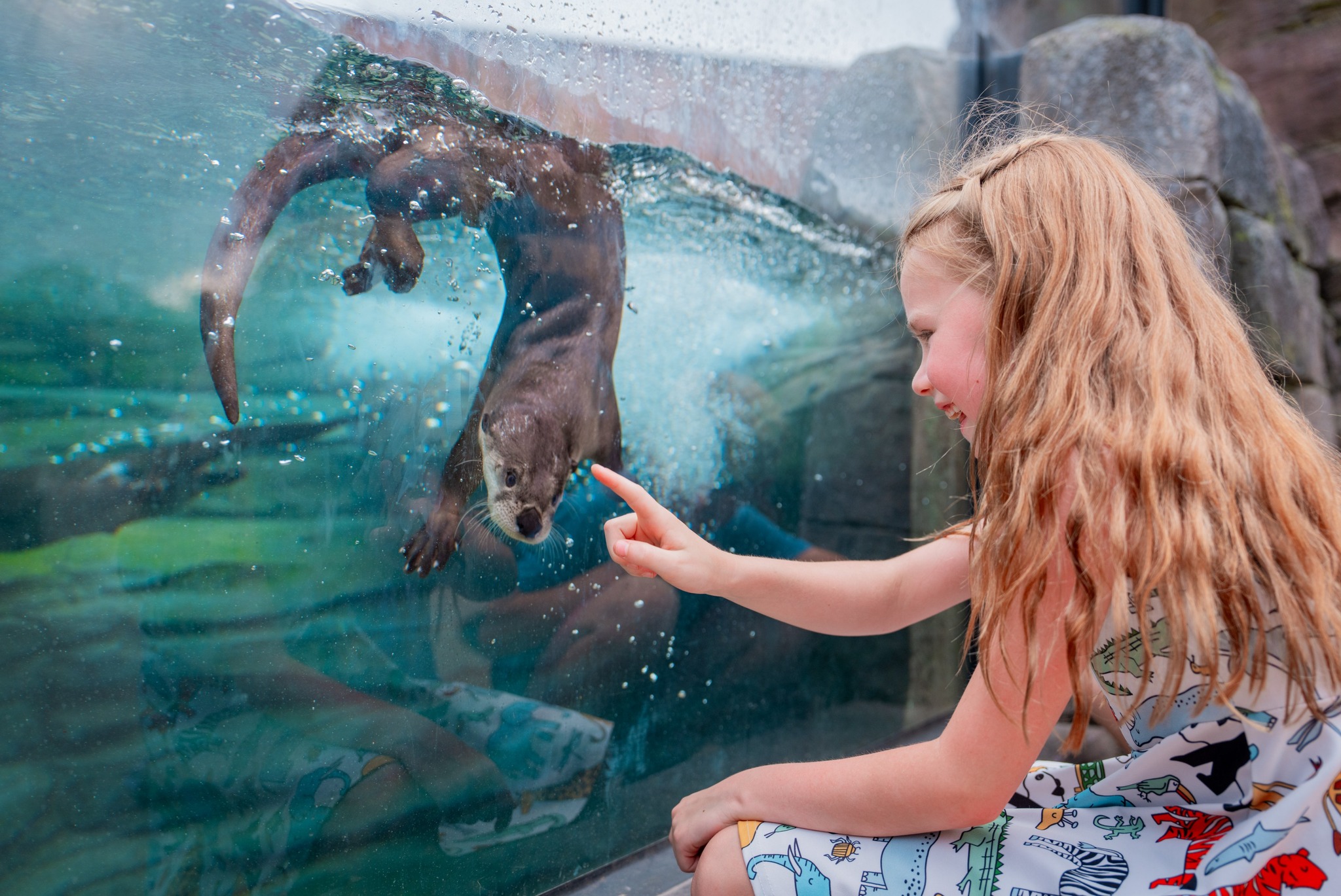 girl looking at river otter at Columbus Zoo