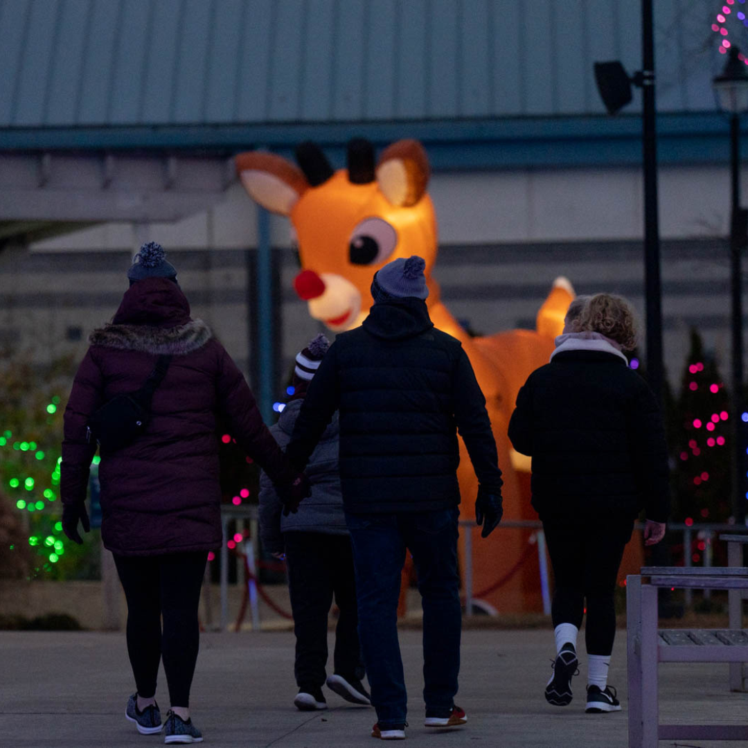 Wildlights 2024 Columbus Zoo and Aquarium