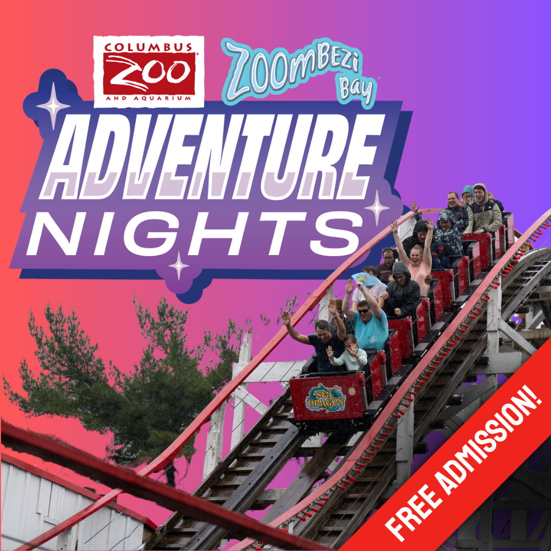 Adventure Nights graphic