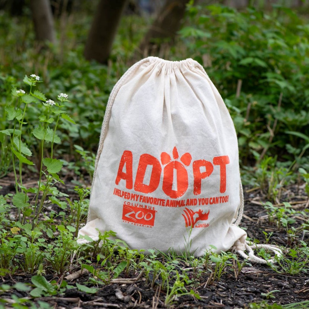 adopt bag in natural setting