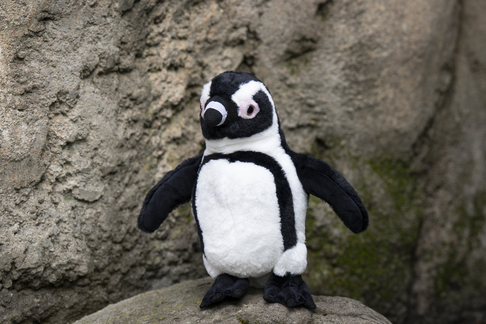 penguin plush