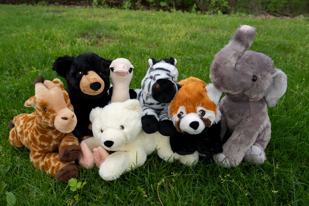 plush variety