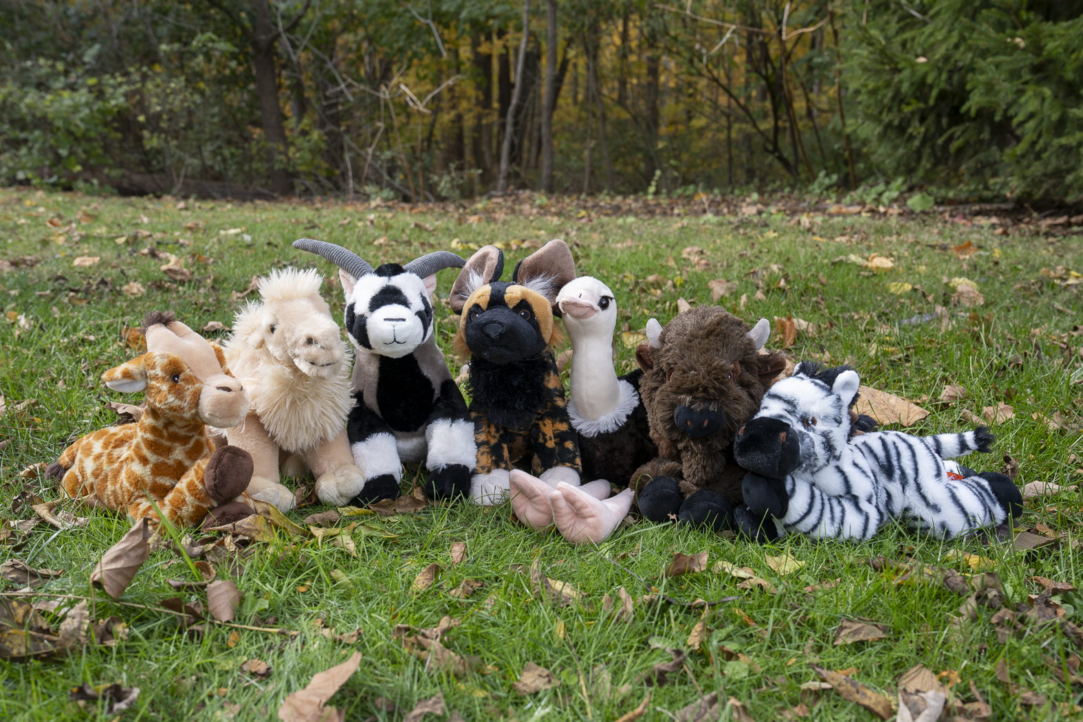 plush animals