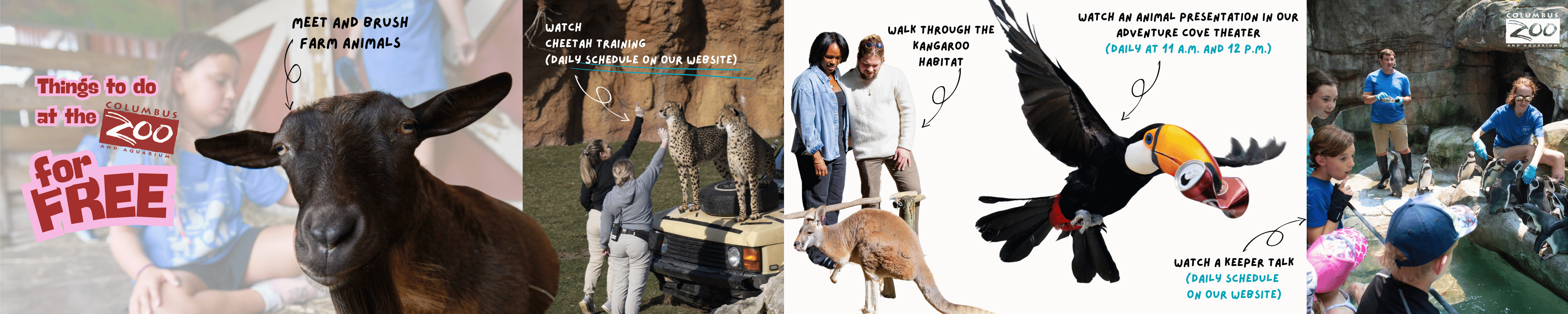graphic of free things to do at the Columbus Zoo