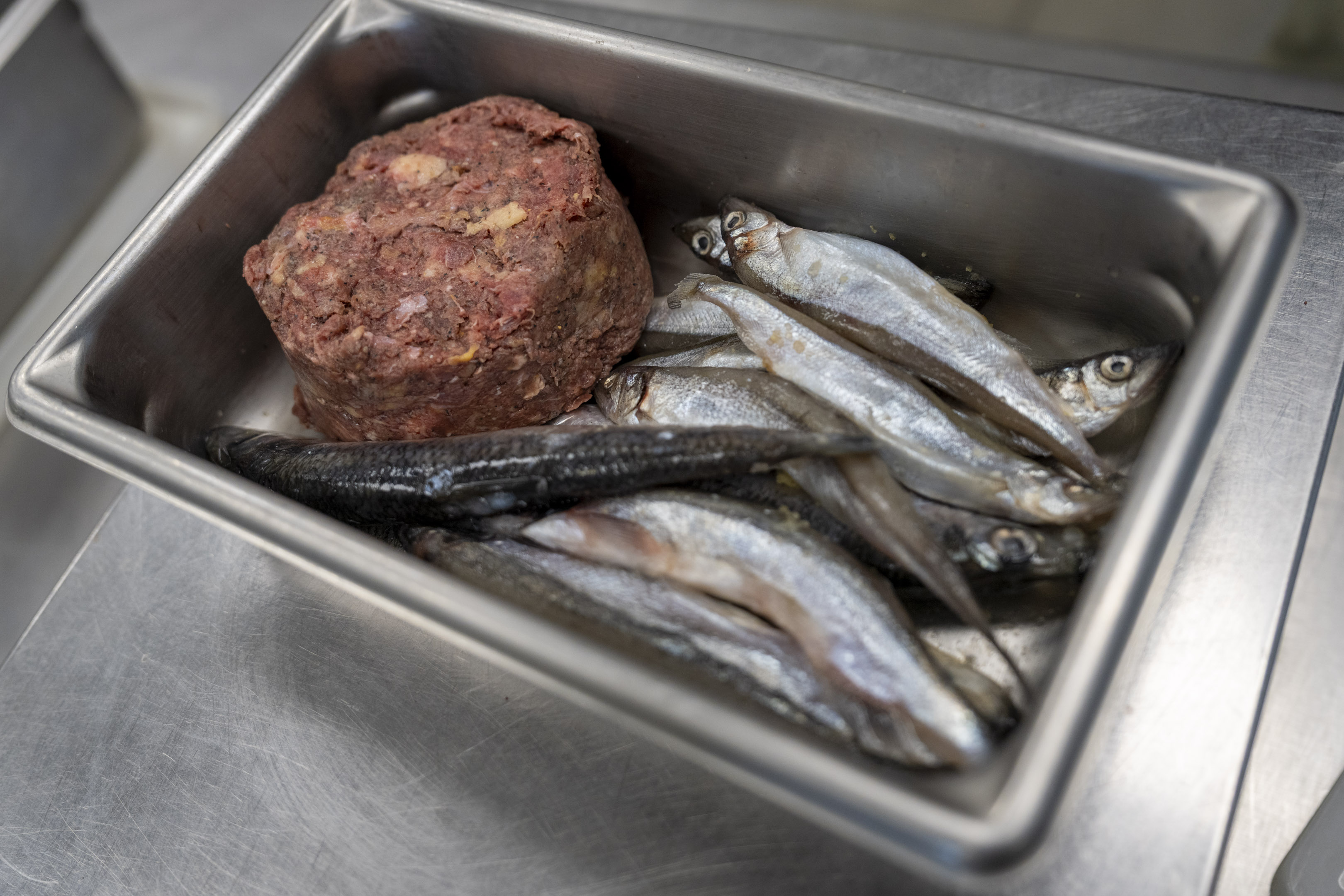 meat selection for Zoo animals