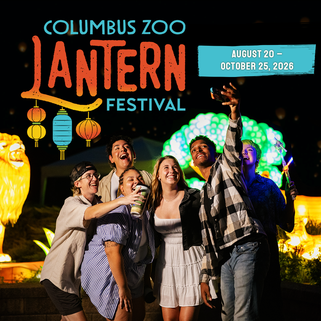 Lantern Festival graphic